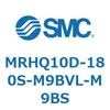 55385504