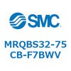 55388024