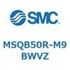 55400651
