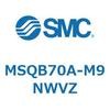 55400904