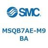 55401281