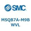 55401692