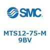 55405497
