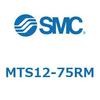 55405533