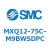 55450202