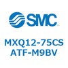 55450315
