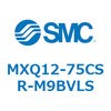 55450805
