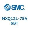55467404