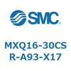 55480117