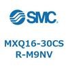 55480205