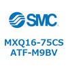 55487451