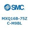 55490206