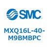 55501564