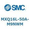 55501844