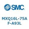 55503734
