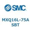 55503847