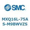 55504084