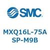 55504127