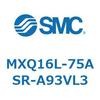 55504163