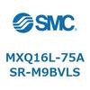 55504206
