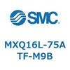 55504242