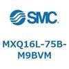 55504364