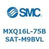 55504504