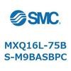 55504556