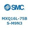 55504601