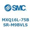 55504696