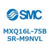 55504705