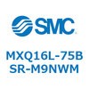55504714