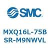 55504723