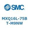 55504775