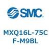 55504802