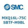55504994