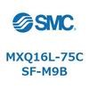 55505037