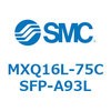 55505064