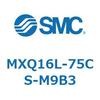 55505134