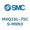55505204