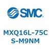 55505213