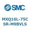 55505292