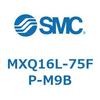 55505493