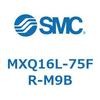 55505527