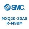 55516501