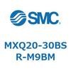 55517007