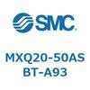 55520166