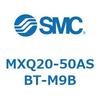 55520202