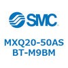 55520211