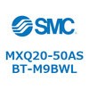 55520254